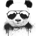 Panda City - логотип команди, фото, зображення клубу