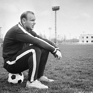 Стрельцов, Торпедо, Олимпиады, Кубка