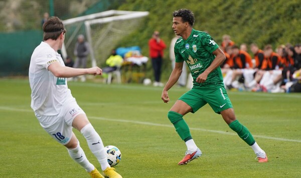 Тяньцзинь, Тайгер, Цзиньмэнь, Китая, Карпаты