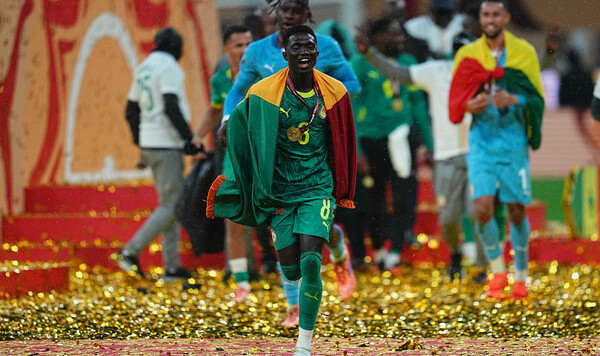 Сенегала, Лозанну, Марокко, Африканской, Львы