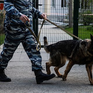 На стадионе «Динамо» объявили эвакуацию после матча с «Краснодаром» Динамо, Краснодар, Внимание
